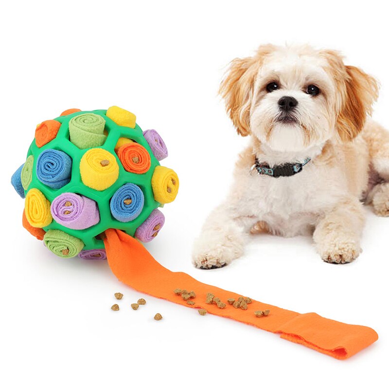 PawSniff™ Interactive Toy